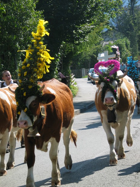 almabtrieb