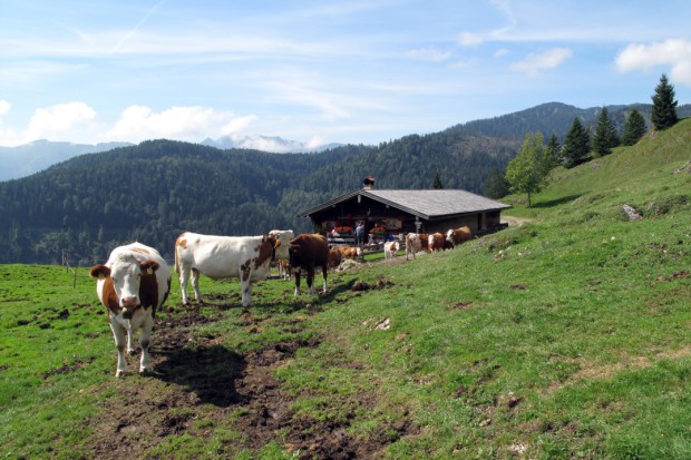 schliersee-ferienwohnungen-priller-4-sterne