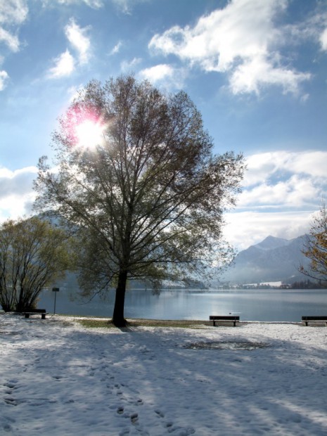 die-ersten-spuren-im-schnee