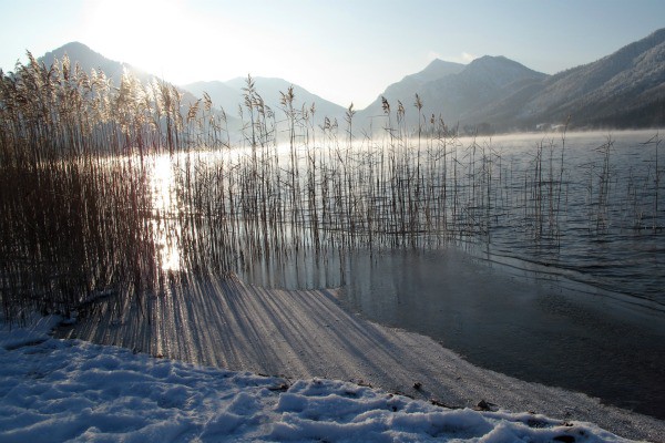 morgenstimmung