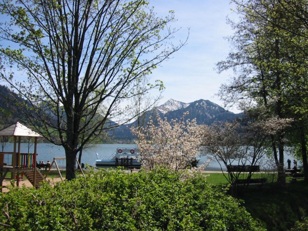 in-schliersee-blueht-wieder-der-flieder