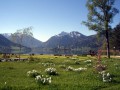 Tegernsee Wandern rund um den Schliersee Ferienwohnungen Priller 4 Sterne