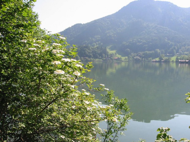 tennisspielen-in-der-freien-natur
