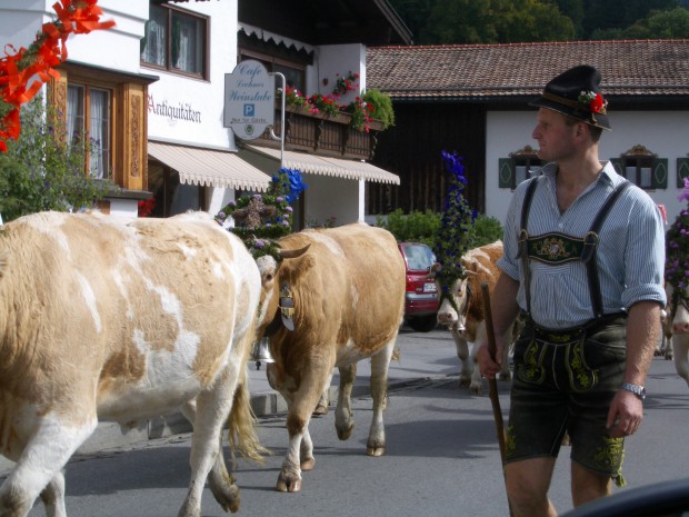 urlaubstraeume-auf-der-alm