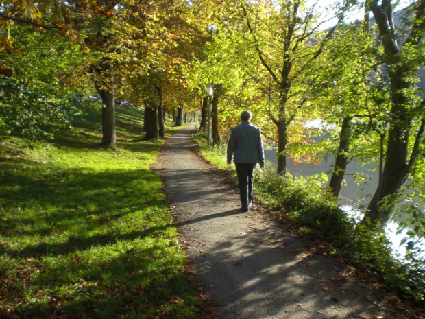 kastanienallee