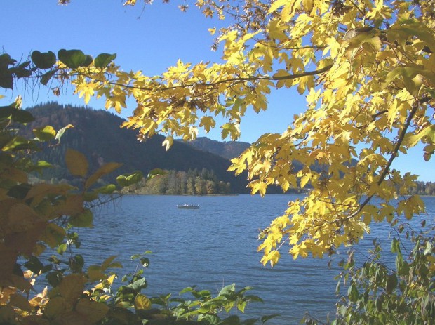 seeherbstlaub