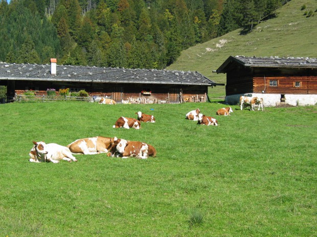 almauftrieb