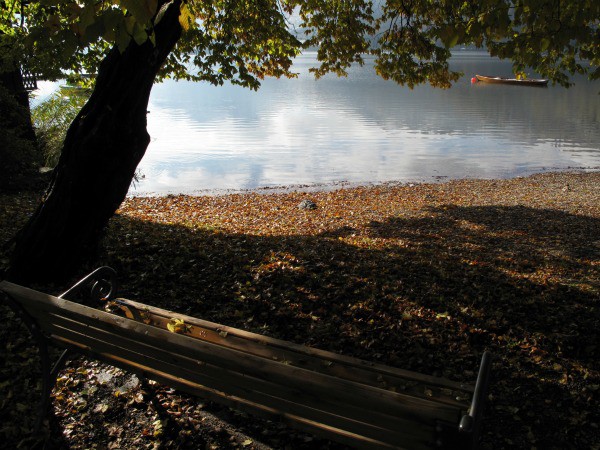 herbst-am-see