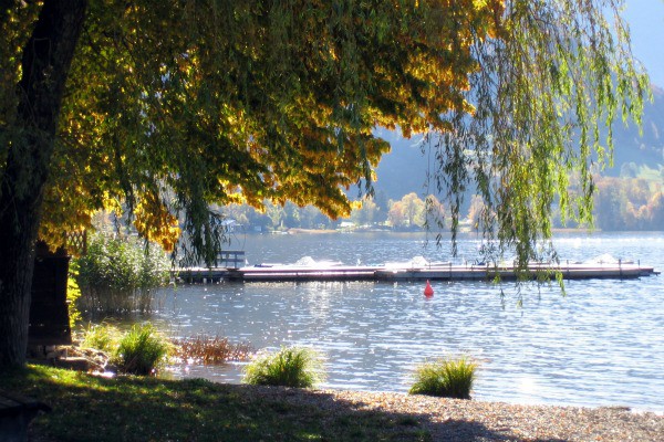 blick-vom-kurpark-auf-den-see