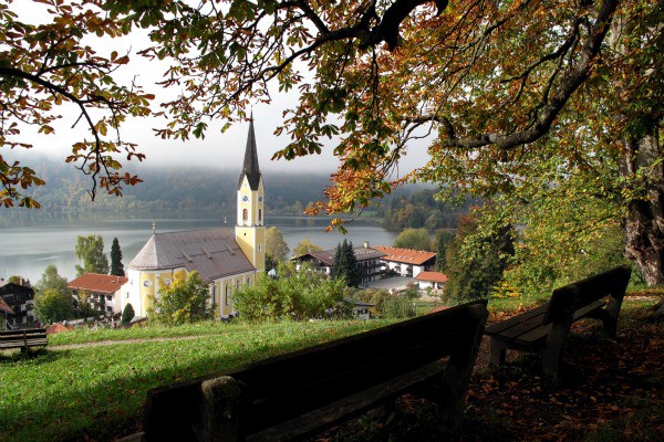 langsam-verlieren-die-baeume-ihre-blaetter