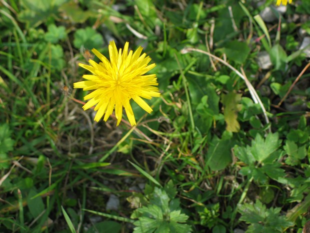 in-der-natur-erleben-sie-erholung-pur