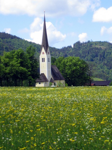 sommerbluetenwiese