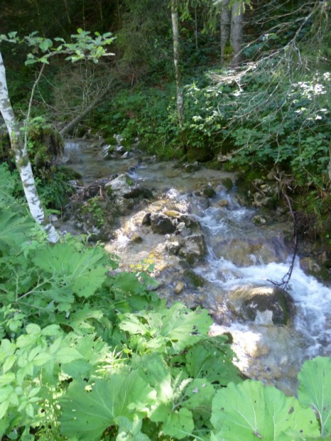 rauschender-gebirgsbach