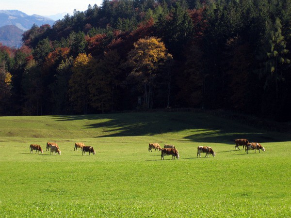 der-sommer-neigt-sich-dem-ende-zu